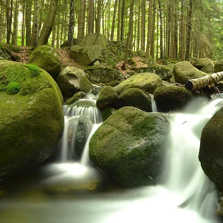 Belweder - Specjalna Na Swieta I Sylwestra!!! 2*